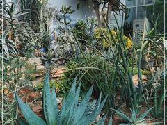 -国家植物园南园