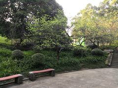 -南山植物园