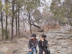 -阳台山自然风景区