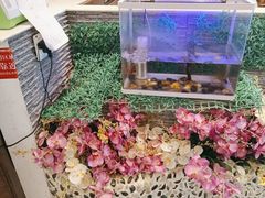 -东方豪客牛排意面披萨(金凤万达店)