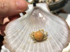 -虾宝贝胶东海鲜·渔家菜(小西天店)