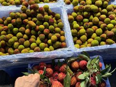 -奎屯友好时尚购物中心