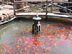 -竹泉村旅游度假区