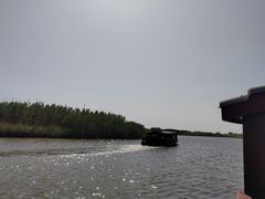 -宁波杭州湾国家湿地公园