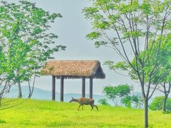 -良渚古城遗址公园