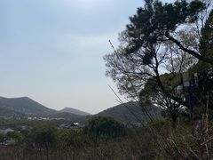 -香雪海