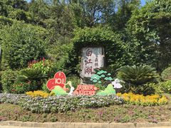 -广州白江湖森林公园