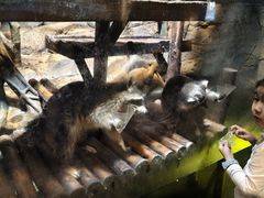 -波塞冬旅游度假区