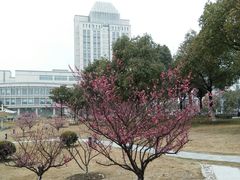 -公益图书馆(江南大学店)