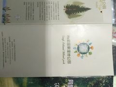-同里国家湿地公园