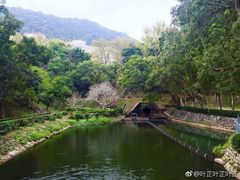 -大埔公路-马料水段香港中文大学(公交站)