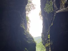 -牛背梁国家森林公园