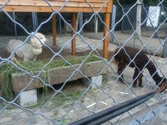 -长白岛森林公园