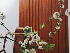 -七彩云南茶(七彩云南第壹城店)