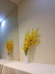 -宁妮丹养生会所