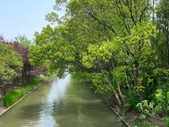 -上海长兴岛郊野公园