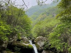 -秦岭终南山世界地质公园翠华山景区