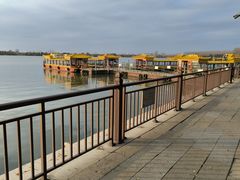 -溱湖国家湿地公园