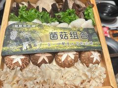 -鼎膳常火锅(华阳店)