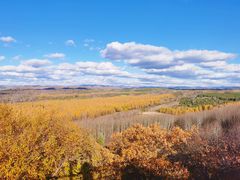 -塞罕坝国家级自然保护区