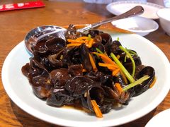 凉拌木耳-双合园·海鲜水饺青岛菜(品牌首店)