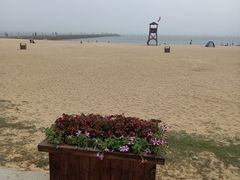 -青岛第二海水浴场