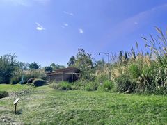 -桤木河湿地公园