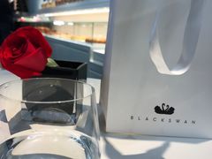 -BLACKSWAN黑天鹅(环球店)