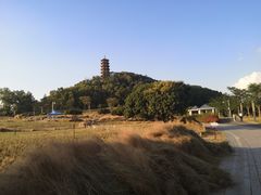 -红花山公园
