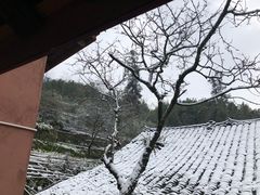 -幸福树餐厅