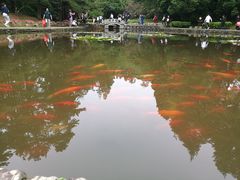 -庐山风景区花径公园