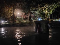 -洪湖悦兮半岛国际温泉度假村