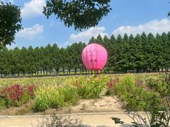 -嘉北郊野公园