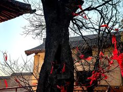 -白台寺