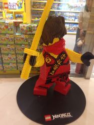 -乐高授权专卖店(朝阳大悦城店)