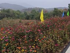 -冶父山国家森林公园