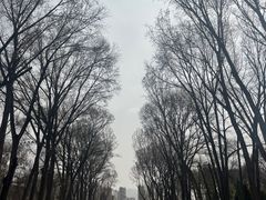 -西宁市人民公园(城西区)