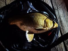 -酷鱼垂钓CLUB(朝阳区博大路店 )