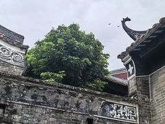 -碧江金楼