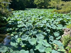 -鹤冈八幡宫