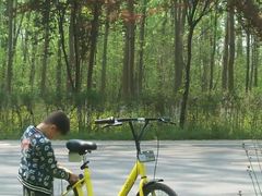 -合肥三国新城遗址公园