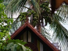 -瑞丽觉觉味道·异国风情(瑞丽大道店)
