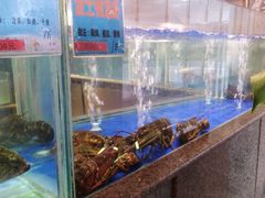 水产区-大铁勺新津菜(迎水道店)
