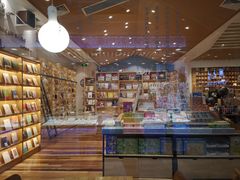 -猫的天空之城概念书店(印象城购物中心店)