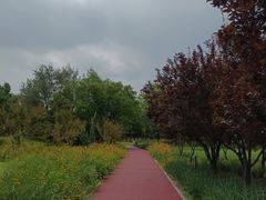 -绿堤公园