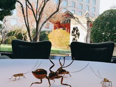 -九献创意菜·牛排馆(亮马河花园店)
