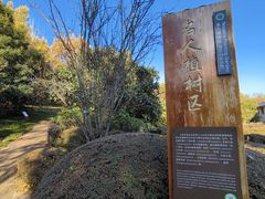 -昆明植物园