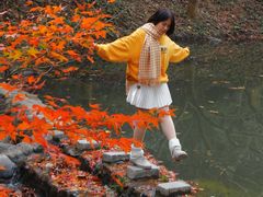-田野绿世界