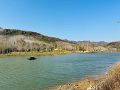 -千年银杏谷文化旅游区