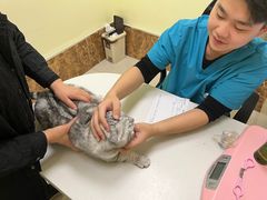 -美联众合24小时·皮肤科·外科·全科诊疗中心(华苑分院)